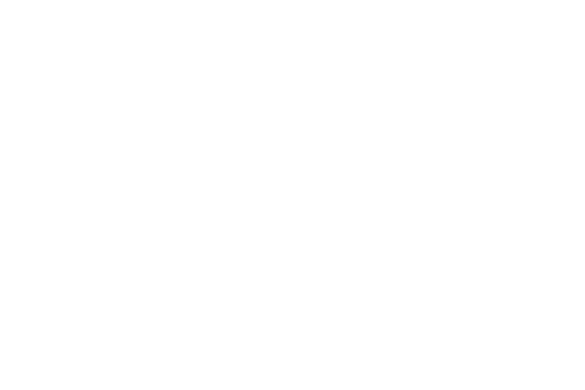 logo-FOOTER-solventia